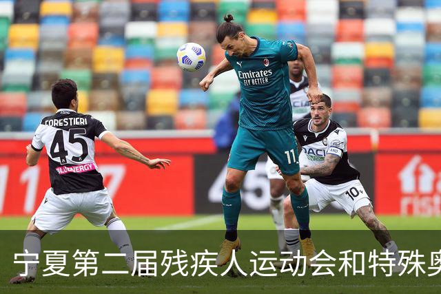 宁夏第二届残疾人运动会和特殊奥林匹克运动会开幕